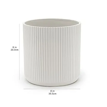 Amazon Basics Stylish 8-Inch Fluted Ceramic Planter