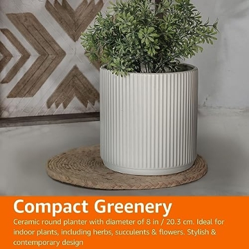 Amazon Basics Stylish 8-Inch Fluted Ceramic Planter