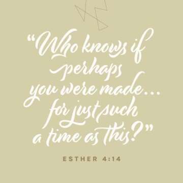 NLT Every Woman’s Bible, Filament Enabled (Hardcover, Gold Dust, Indexed, Red Letter)