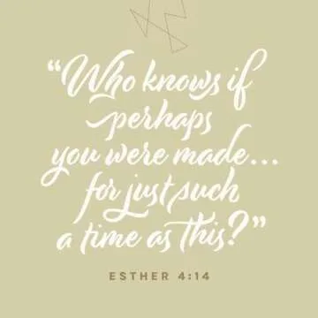 NLT Every Woman’s Bible, Filament Enabled (Hardcover, Gold Dust, Indexed, Red Letter)