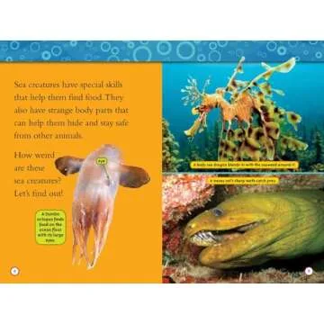 National Geographic Kids 10 Book Set: Engaging Wildlife Adventures