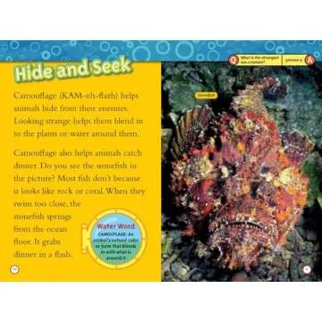 National Geographic Kids 10 Book Set for Young Readers