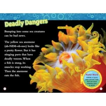National Geographic Kids 10 Book Set for Young Readers