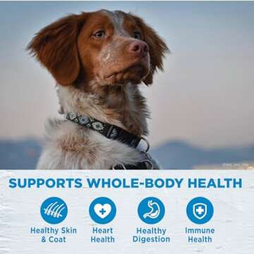 Wellness Simple Natural Limited-Ingredient Dog Food for Sensitive Stomachs
