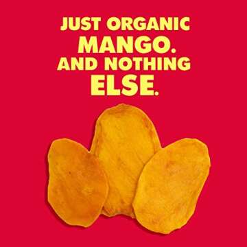 SOLELY - Organic Dried Mango Strips (5 oz Resealable Bags, Pack of 6) - Real Fresh Fruit - 1 Ingredient - Healthy Snacks for Adults & Kids - Non GMO, Vegan Snacks, Shelf Stable - 6 Bags (30 oz)