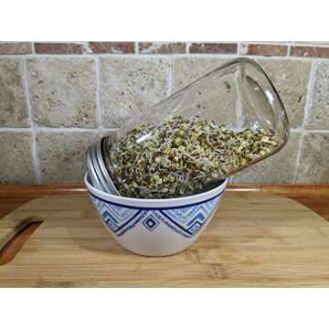 Variety Pack Sprouting Seeds Broccoli, Alfalfa, Radish, Mung beans & Salad Mix for Sprouts and Microgreens. Non-GMO. Pack of 10 premeasured seeds for quart size jars or trays. Includes 2 packs of each