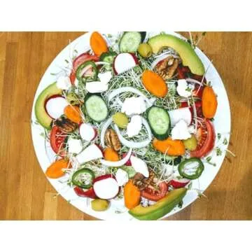 Variety Pack Sprouting Seeds Broccoli, Alfalfa, Radish, Mung beans & Salad Mix for Sprouts and Microgreens. Non-GMO. Pack of 10 premeasured seeds for quart size jars or trays. Includes 2 packs of each