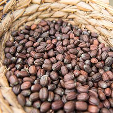 Weleda Moisture Cream for Men, 1 Ounce