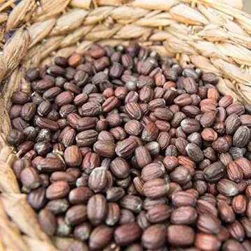 Weleda Moisture Cream for Men, 1 Ounce