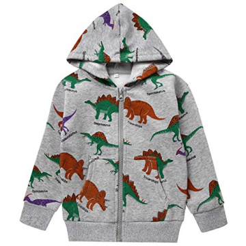Kids Akyzic Dinosaur Hoodies for Toddler Boys