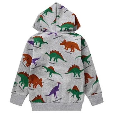 Kids Akyzic Dinosaur Hoodies for Toddler Boys
