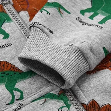 Kids Akyzic Dinosaur Hoodies for Toddler Boys