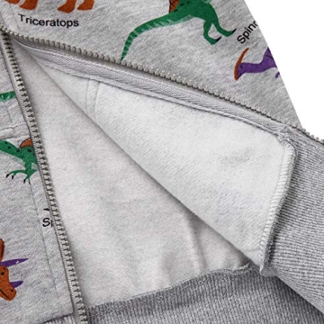 Kids Akyzic Dinosaur Hoodies for Toddler Boys
