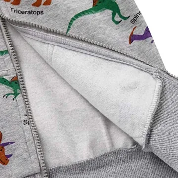 Kids Akyzic Dinosaur Hoodies for Toddler Boys