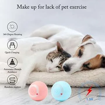 Interactive Cat Ball Toy for Indoor Cats' Fun