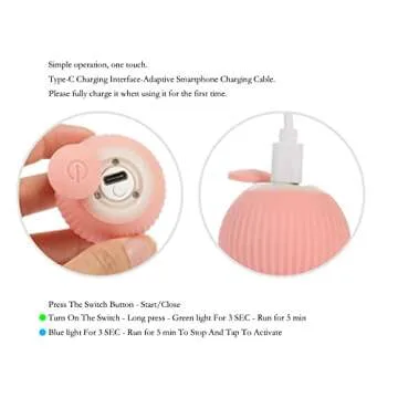 Interactive Cat Ball Toy for Indoor Cats' Fun