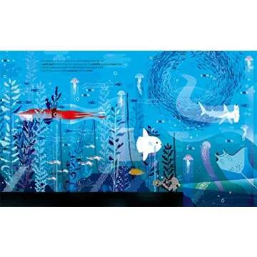 Deep in the Ocean: A Board Book