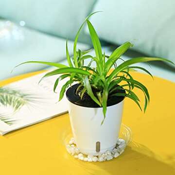 Planterhoma 5 Inch Self Watering Pots for Indoor Plants, 6 Packs White African Violet Pots with Wate...