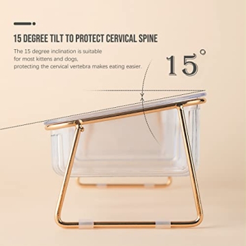 Elevated Cat Bowls - 5.5 inches Tilted Feeding Dishes