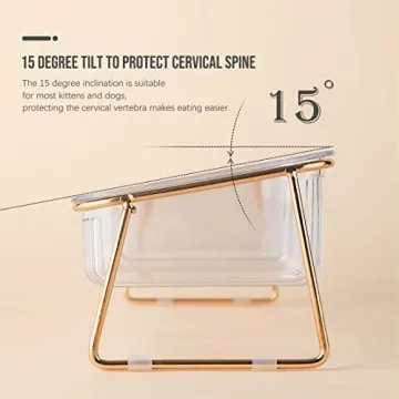 Elevated Cat Bowls - 5.5 inches Tilted Feeding Dishes