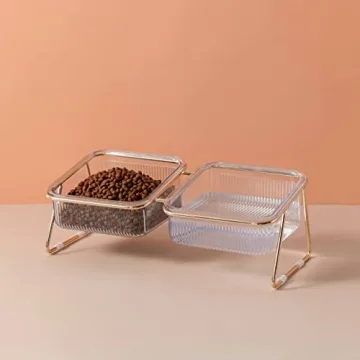 Elevated Cat Bowls - 5.5 inches Tilted Feeding Dishes