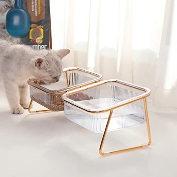 Elevated Cat Bowls - 5.5 inches Tilted Feeding Dishes