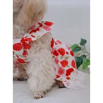 QWINEE Flower Pattern Dog Dress Cat Summer Party Dress, Lace Decor Princess Ruffle Trim Dog Cat Kitten Girls Red XS