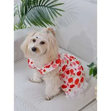 QWINEE Flower Pattern Dog Dress Cat Summer Party Dress, Lace Decor Princess Ruffle Trim Dog Cat Kitten Girls Red XS