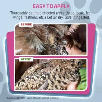 PetSilver Chicken Wound Spray for Chickens & Birds - Patented Silver Solution - Silver Spray for Wounds, Pecking Sores, Bumblefoot, Cuts, Burns, & Skin Irritations - Chicken Care - USA Made - 12 fl oz