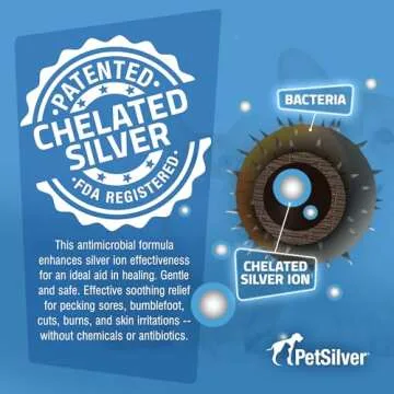 PetSilver Chicken Wound Spray for Chickens & Birds - Patented Silver Solution - Silver Spray for Wounds, Pecking Sores, Bumblefoot, Cuts, Burns, & Skin Irritations - Chicken Care - USA Made - 12 fl oz