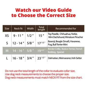 BRONZEDOG Rolled Leather Collar with QR ID Tag for Dogs