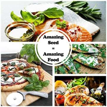 Culinary Herb Seeds Variety Pack - 10 Non-GMO Seeds Kit