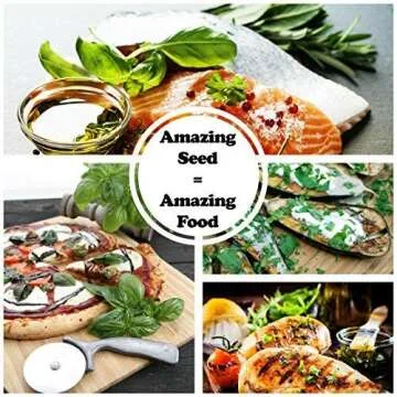 Culinary Herb Seeds Variety Pack - 10 Non-GMO Seeds Kit