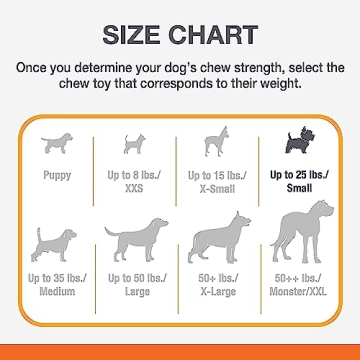 Nylabon Power Chew Comfort Hold X Bone Chew Toy for Puppies, Beef Flavor, Small (1 Count)