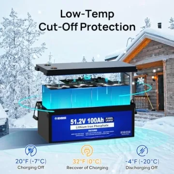 48V 100Ah Golf Cart Battery with Smart Charger