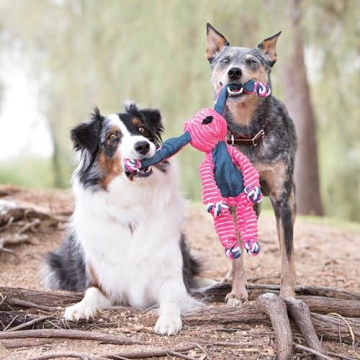 Durable KONG Floppy Knots Dog Toy for Engaging Play