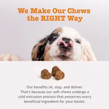 Zesty Paws Probiotics for Dogs - Gut Health & Immune Support