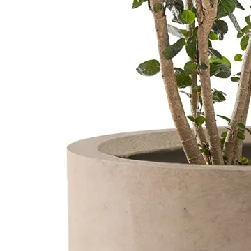 Stylish Kante Concrete Planter Set - Great for Indoors & Outdoors
