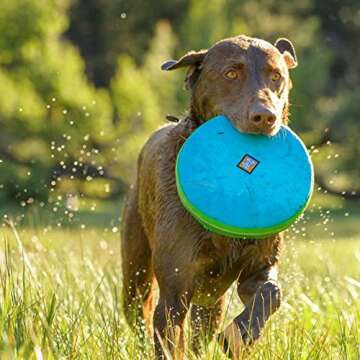RUFFWEAR Hover Craft Flying Disc for Active Dogs