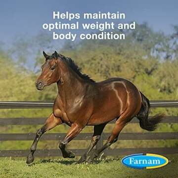Farnam Weight Builder for Horses – Boost Health & Weight
