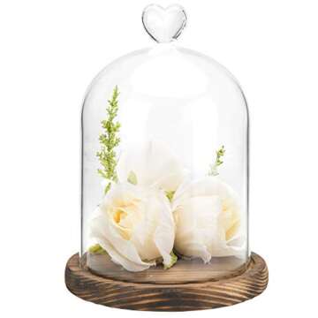 MyGift 6 Inch Small Clear Glass Cloche Bell Jar Display Case with Heart Top Handle and Dark Brown Wooden Base (5.6 x 7.6)