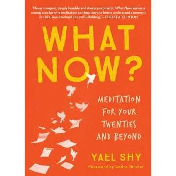 What Now?: Meditation for Your Twenties and Beyond - A Guide to Mindfulness