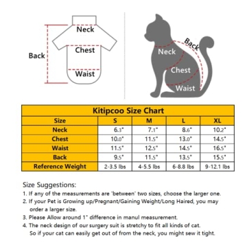 Vintage Stripes Sphynx Cat T-Shirts – Cute & Breathable