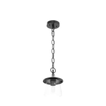 LOG BARN Outdoor Pendant Light, Porch Fixture in Black Metal