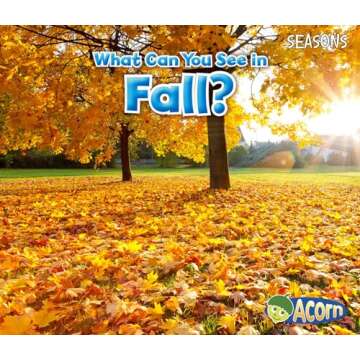 What Can You See in Fall? (Seasons)