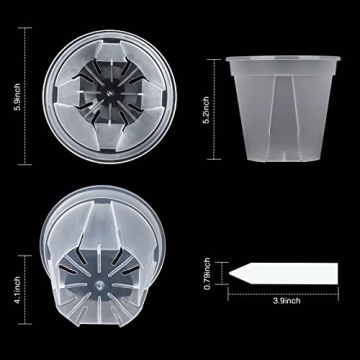 GREENPARA 6-inch Transparent Plant Nursery Pots