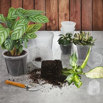 GREENPARA 6-inch Transparent Plant Nursery Pots