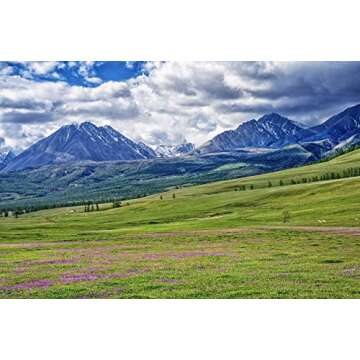 YAK GHEE A2/A2 BY GOLD NUGGET GHEE, FULL-YEAR/PASTURE-RAISED, GRASS-FED BUTTER, KETO & PALEO 8oz