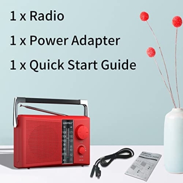 LEOTEC Portable AM FM Radio Big Speaker Clear Sound