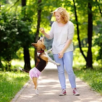 Pet Soft Disposable Dog Diapers with Adjustable Foam Tail Hole